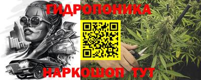 крисы Заволжье