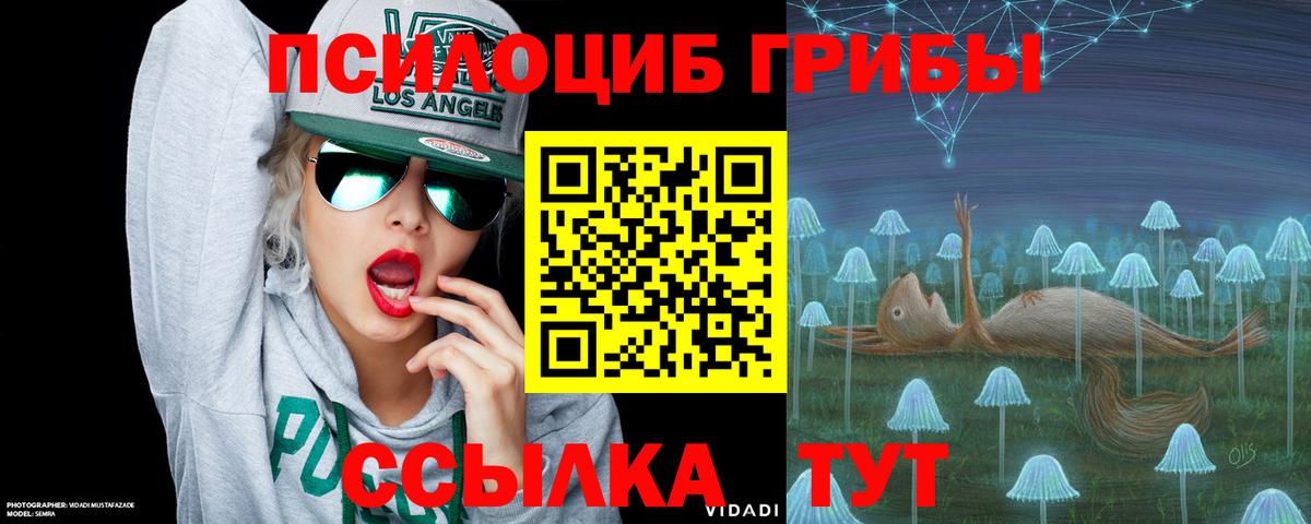 Псилоцибиновые грибы ЛСД Североморск